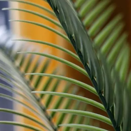 - Great Location - Chic And Luxury - Jp33 Apartamento